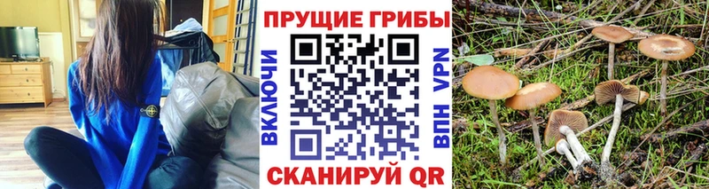Галлюциногенные грибы прущие грибы  OMG tor  Нелидово 